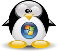 /album/galerie-photos/aimages16-jpg/